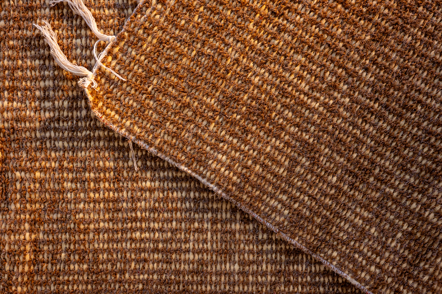 Hojas Secas – Dry Leaves