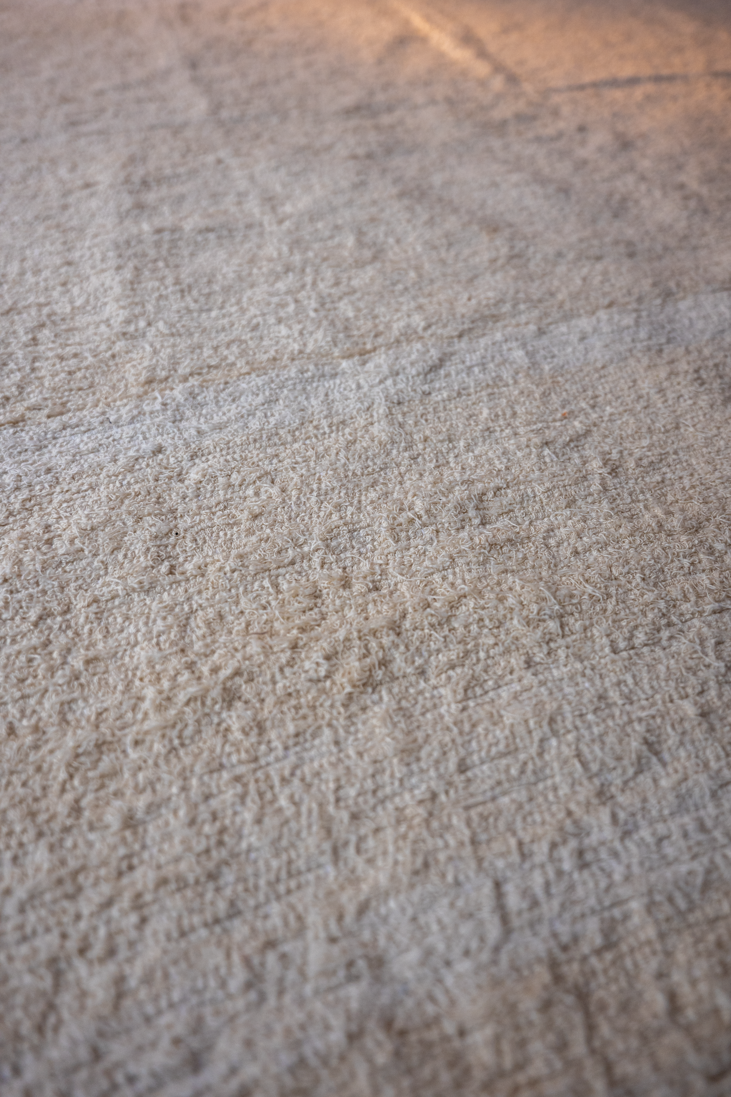 Espiga – Wheat Spike