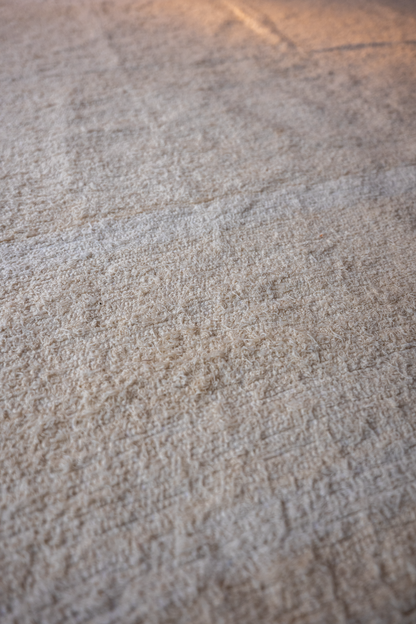 Espiga – Wheat Spike
