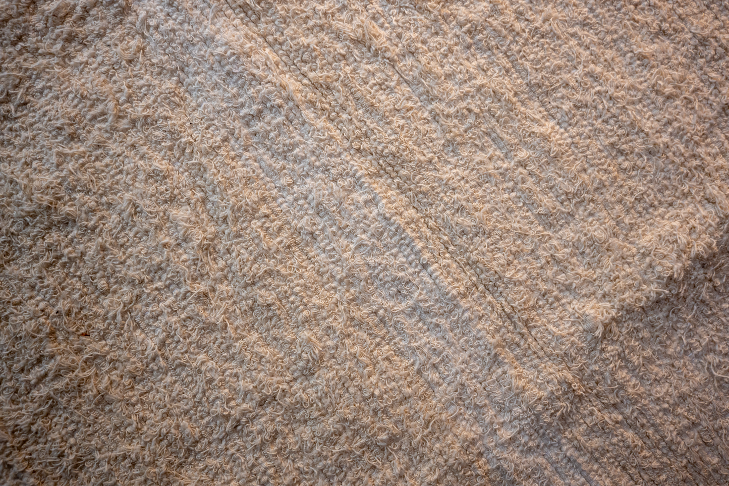 Espiga – Wheat Spike
