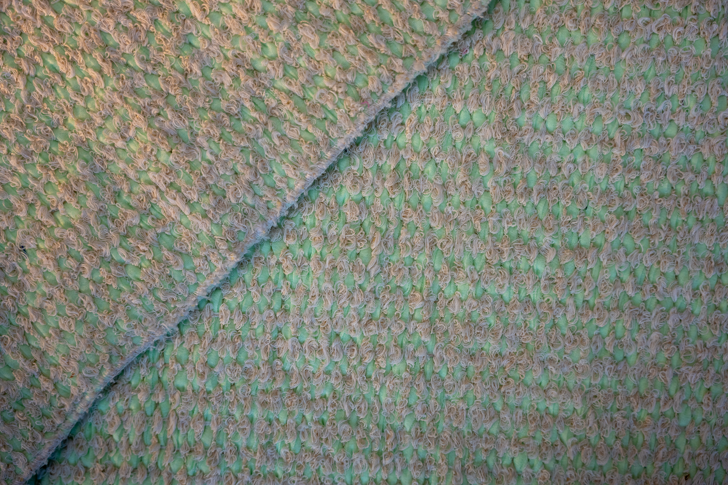 Hojas Secas – Dry Leaves