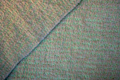 Hojas Secas – Dry Leaves