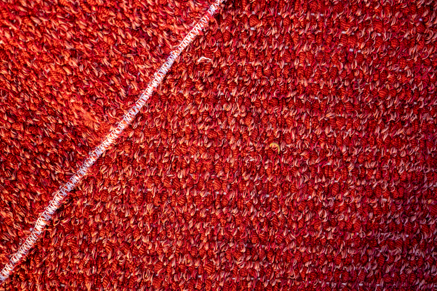 Hojas Secas – Dry Leaves