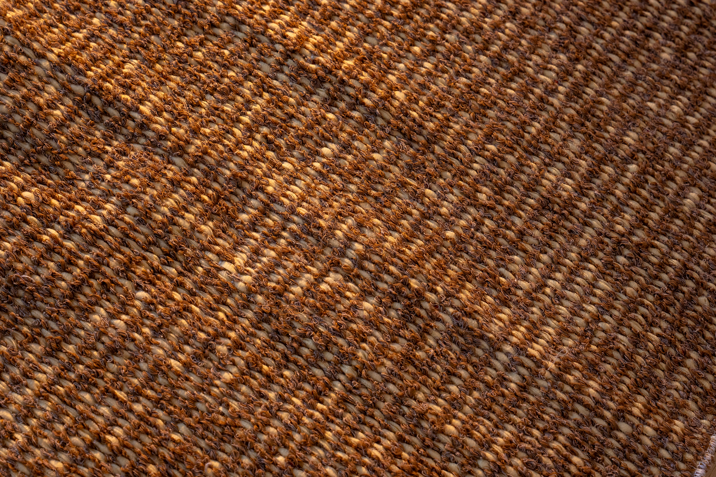 Hojas Secas – Dry Leaves