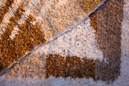 Senda – Pathway