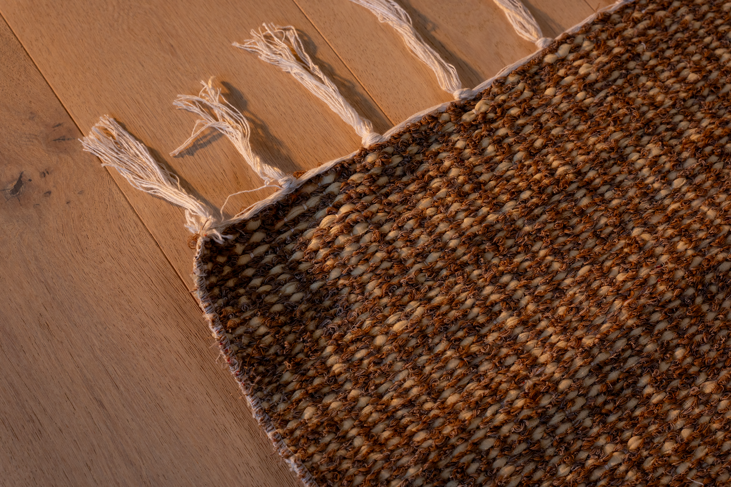 Hojas Secas – Dry Leaves