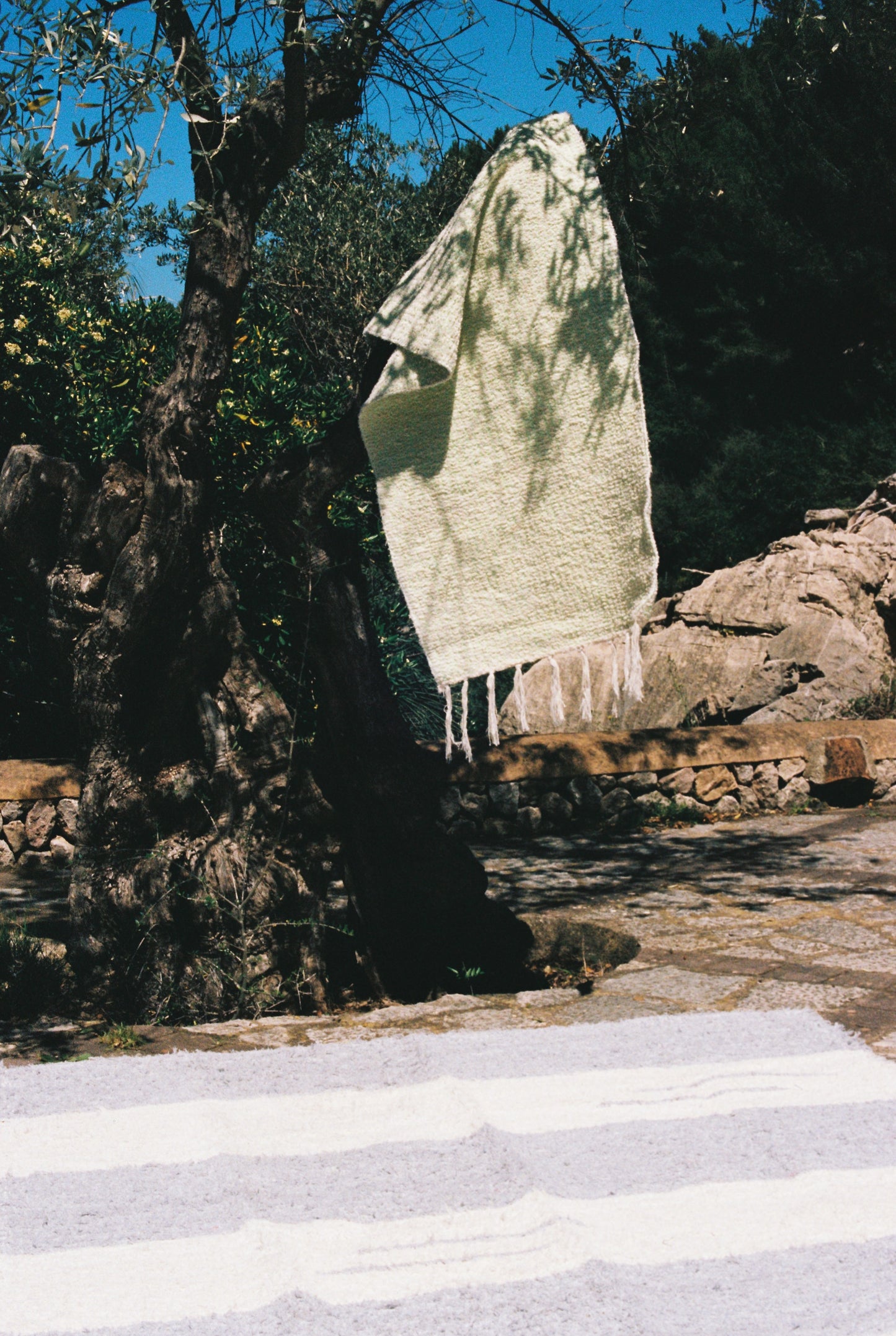 Hojas Secas – Dry Leaves