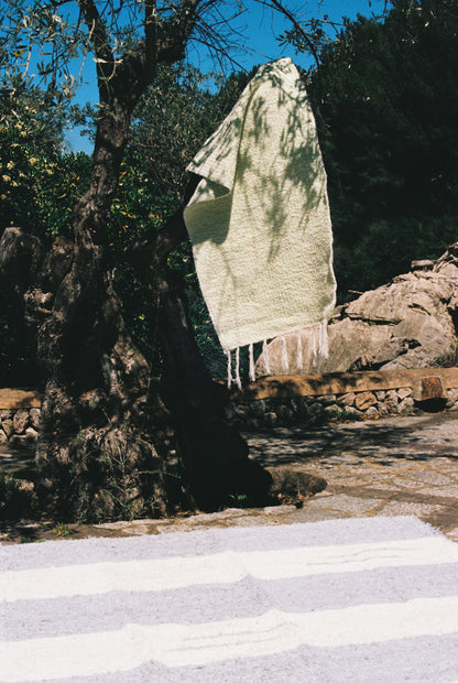 Hojas Secas – Dry Leaves