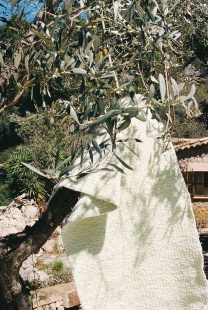 Hojas Secas – Dry Leaves