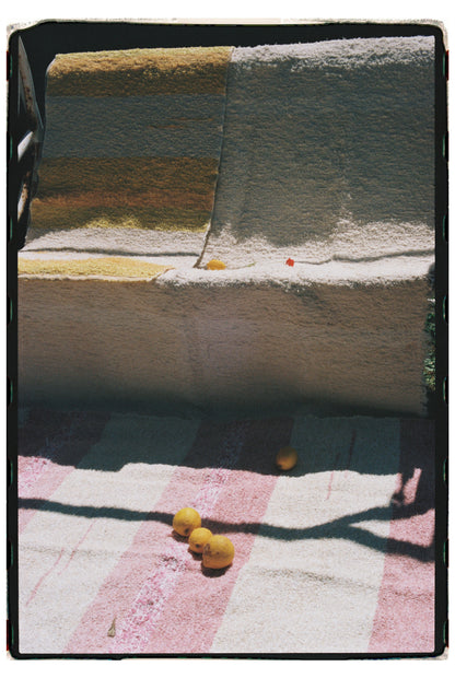 Espiga – Wheat Spike